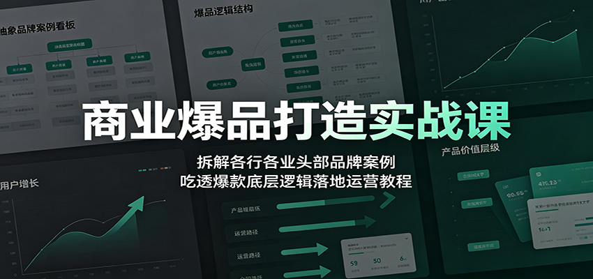 商业爆品打造实战课：拆解各行各业头部品牌案例，吃透爆款底层逻辑落地运营教程 - 项目资源网