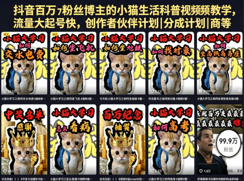 抖音百万粉丝博主的小猫生活科普视频教学，流量大起号快，创作者伙伴计划|分成计划|商单|收徒等 - 项目资源网