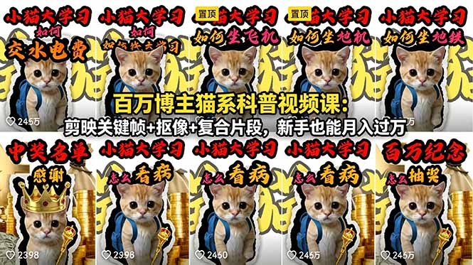 百万博主猫系科普视频课：剪映关键帧+抠像+复合片段，新手也能月入过万 - 项目资源网