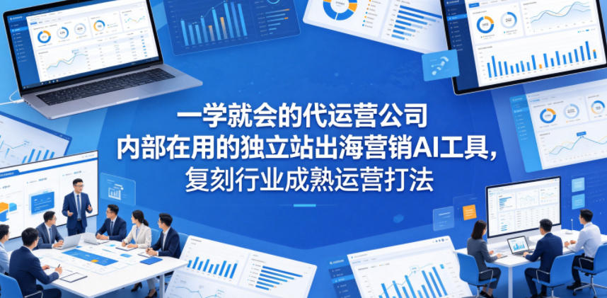 一学就会的代运营公司内部在用的独立站出海营销AI工具，复刻行业成熟运营打法 - 项目资源网