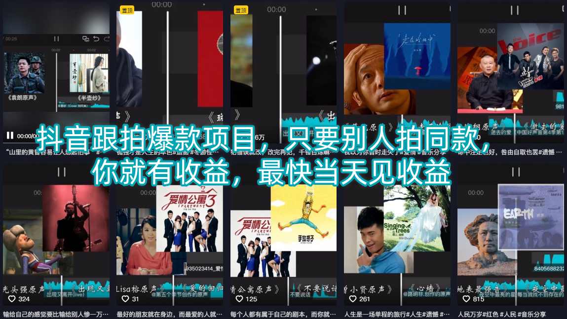 抖音跟拍爆款项目，只要别人拍同款，你就有收益，最快当天见收益 - 项目资源网