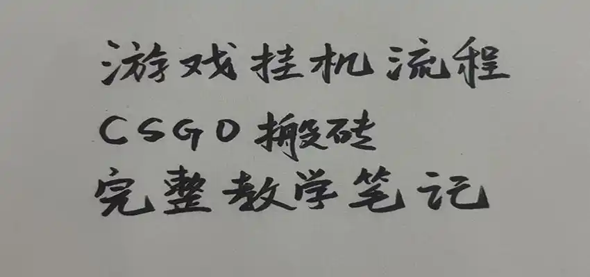 游戏挂机全流程笔记分享，CSGO游戏搬砖，小白看了当天学会见收益 - 项目资源网