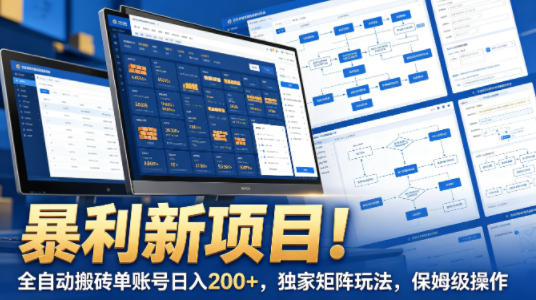 暴利新项目！全自动搬砖单账号日入200+，独家矩阵玩法，保姆级操作【揭秘】 - 项目资源网