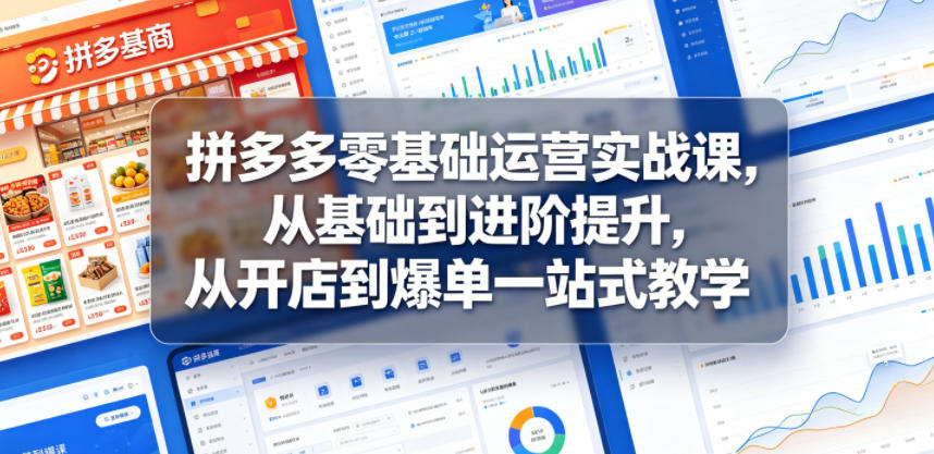 拼多多零基础运营实战课，从基础到进阶提升，从开店到爆单一站式教学 - 项目资源网