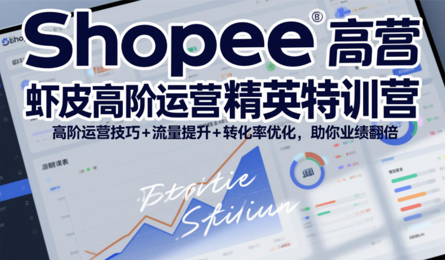 Shopee虾皮高阶运营精英特训营，高阶运营技巧+流量提升+转化率优化，助你业绩翻倍(更新26年5月) - 项目资源网