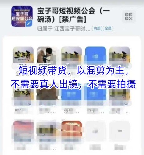 宝子哥头部团队短视频带货，以混剪为主，不需要真人出镜，不需要拍摄【更新26年3月】 - 项目资源网