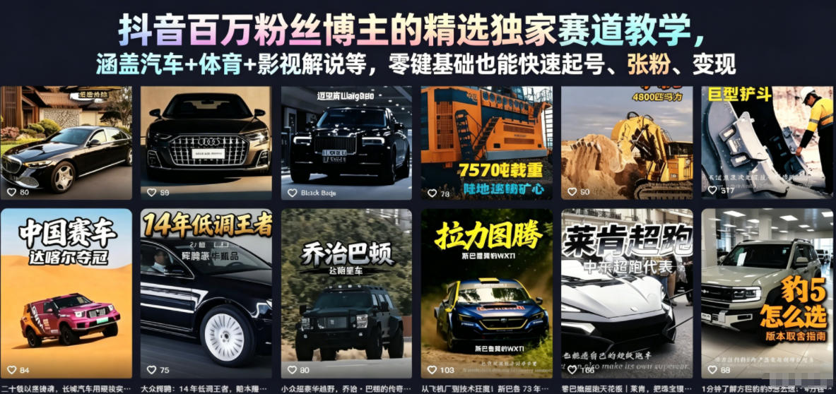 抖音百万粉丝博主的精选独家赛道教学，涵盖汽车+体育+影视解说等，零基础也能快速起号、涨粉、变现 - 项目资源网