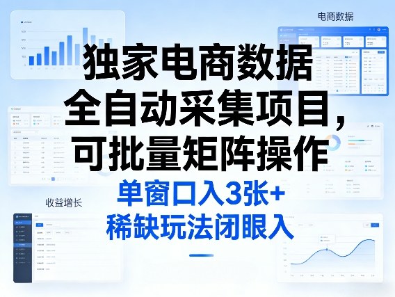 独家电商数据全自动采集项目，可批量矩阵操作，单窗口日入3张+，稀缺玩法闭眼入【揭秘】 - 项目资源网