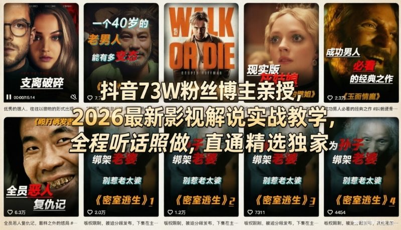 抖音73W粉丝博主亲授，2026最新影视解说实战教学，全程听话照做，直通精选独家 - 项目资源网
