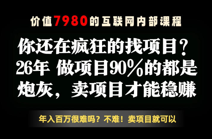 26年请不要疯狂的找项目了，卖项目远比你想象的暴利，你也可以月入10W+【揭秘】 - 项目资源网