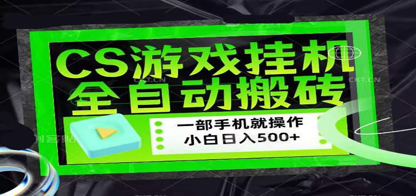 CSGO游戏挂机捡漏搬砖，超稳定的项目，带领1000+小白实现日入500+ - 项目资源网