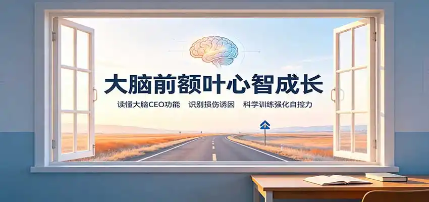 大脑前额叶心智成长：读懂大脑CEO功能，识别损伤诱因，科学训练强化自控力 - 项目资源网