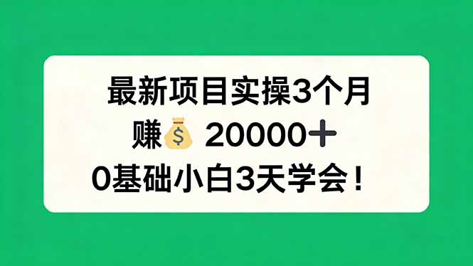 最新项目实操3个月，赚钱20000+，0基础小白3天学会！ - 项目资源网