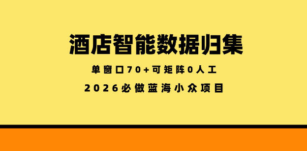 酒店智能数据归集，小众蓝海已经稳定半年之久，单窗口70+零成本矩阵开干【揭秘】 - 项目资源网