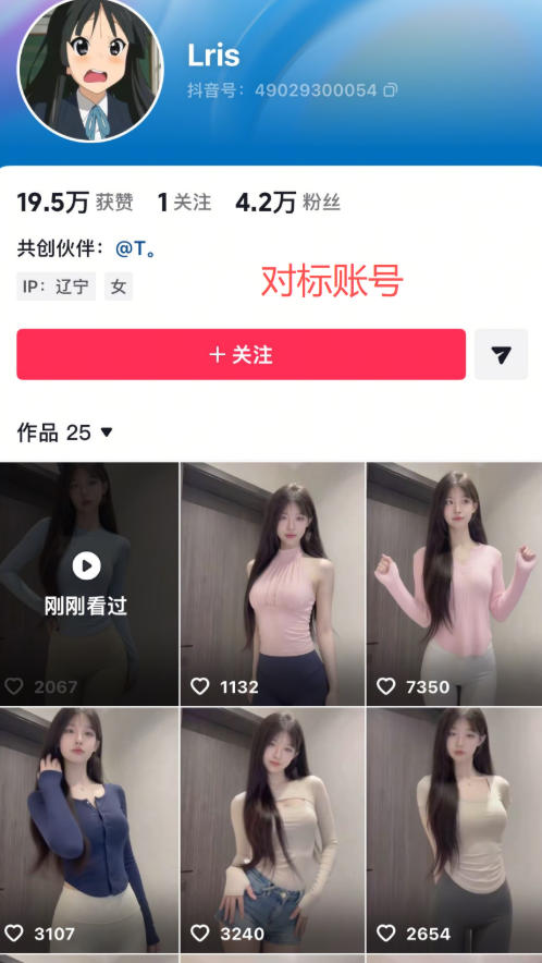 最新AI美女视频制作教学，去AI痕迹，全程带你落地，不玩虚的 - 项目资源网