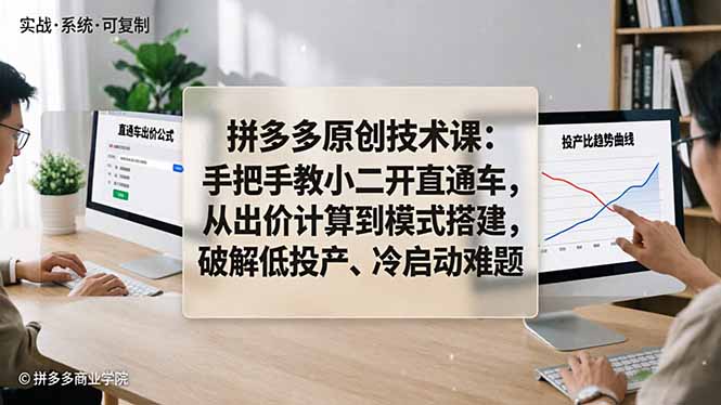 拼多多原创技术课：手把手教小二开直通车，从出价计算到模式搭建，破解低投产、冷启动难题 - 项目资源网
