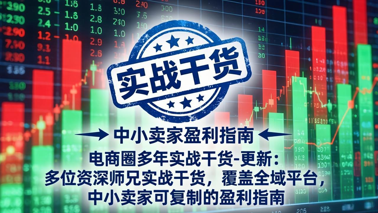 电商圈多年实战干货-更新5月20：多位资深师兄实战干货/覆盖全域平台，中小卖家可复制的盈利指南 - 项目资源网