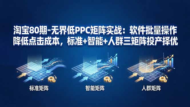淘宝80期-无界低PPC矩阵实战：软件批量操作降低点击成本，标准+智能+人群三矩阵投产择优 - 项目资源网