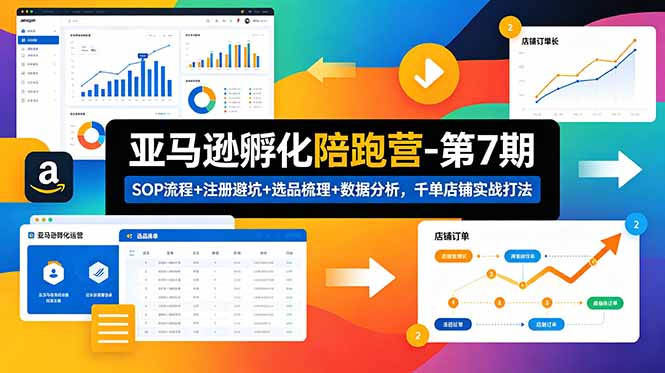亚马逊孵化陪跑营-第7期：SOP流程+注册避坑+选品梳理+数据分析，千单店铺实战打法(更新0625 - 项目资源网