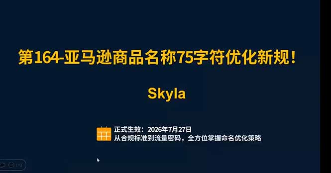 亚马逊跨境实战课：全品类选品逻辑｜SP/SB/SD广告精细化｜新品打爆旺季爆单全套运营教程 - 项目资源网