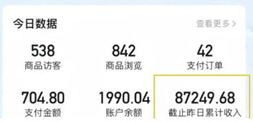 2026新手也能操作的带货玩法，用这个方法零门槛，轻松月入10000+ - 项目资源网