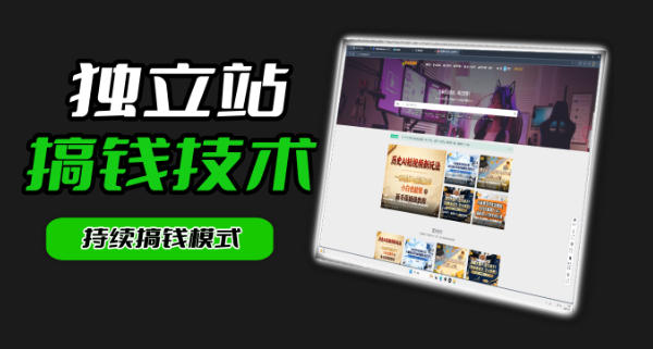 干货来袭！麦子甜带你吃透独立站｜从搭建到引流一站式教学《独立站》第一期 - 项目资源网