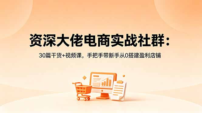 资深大佬电商实战社群：30篇干货+视频课，手把手带新手从0搭建盈利店铺 - 项目资源网